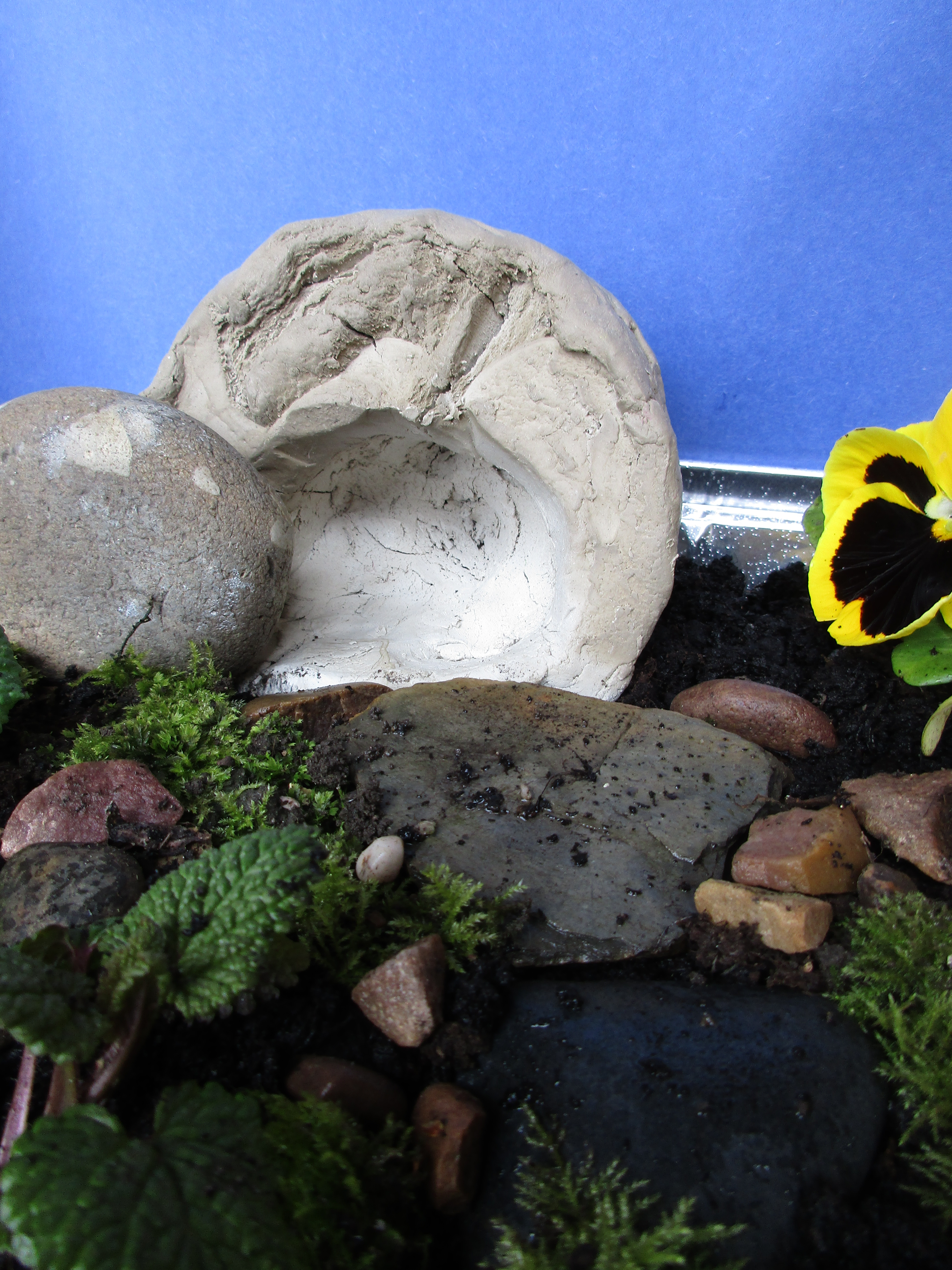 Time to make an Easter Garden!